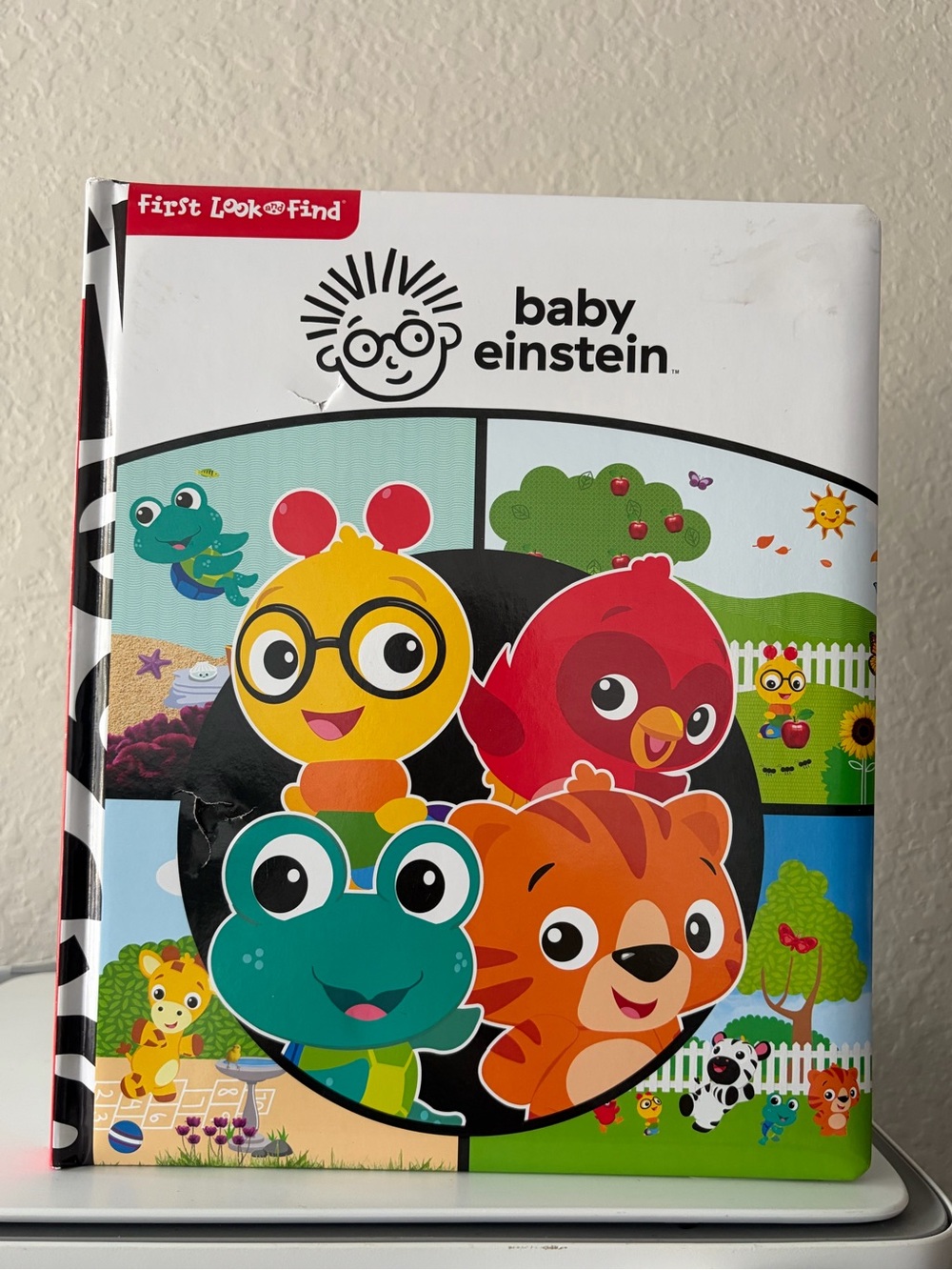 Baby Einstein First Look & Find Colorful Animal Board Book - Multicolor